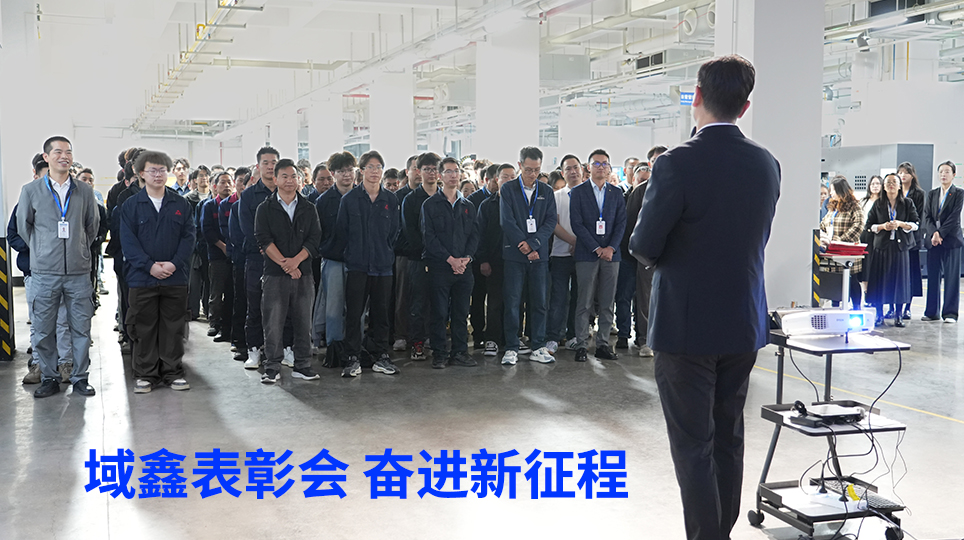 域鑫科技：表彰先进树标杆 凝“鑫”聚力谱新篇